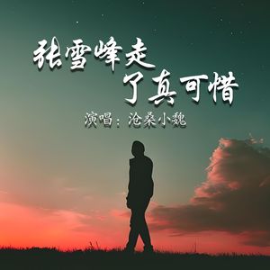 张雪峰走了真可惜