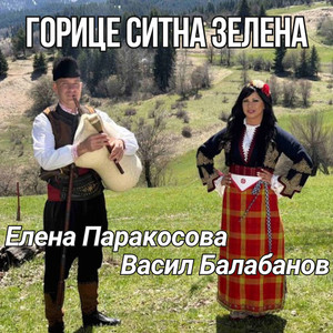 Горице ситна зелена