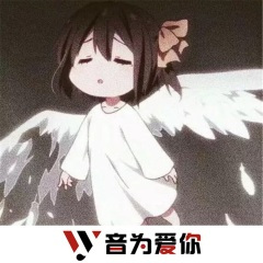 火种之人 (DJ版)