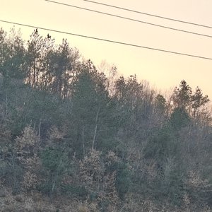 奔腾在草原上
