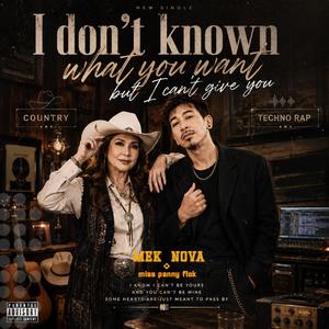 I don't know what you want! but i can't give you (feat. miss penny flok) (Radio Edit)