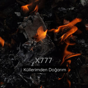 Küllerimden Doğarım