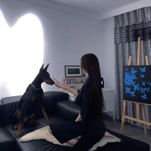 如果声音不记得(降调)