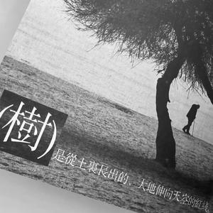 一封未寄出的家书