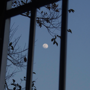 他乡纵有当头月