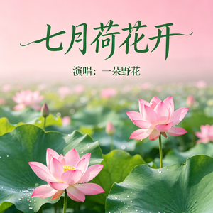 七月荷花开