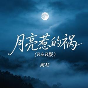 月亮惹的祸  (R&B版)