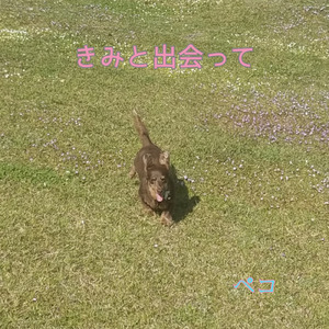 きみと出会って