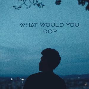 What Would You Do