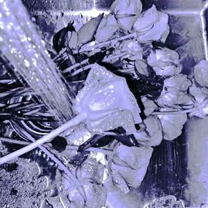 天天（cover陶喆）