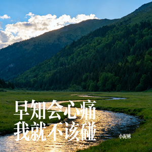 早知会心痛我就不该碰