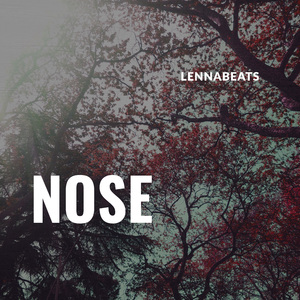 Nose
