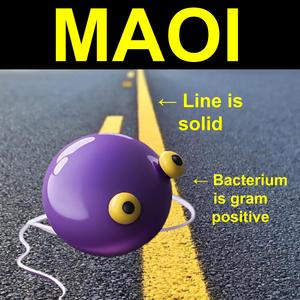 Linezolid (Math Version)