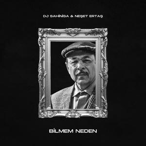 Bilmem Neden