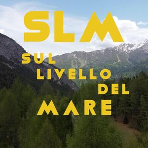 SLM