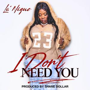 I Don't Need You