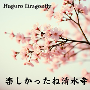 楽しかったね清水寺