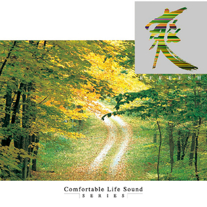 午後の木漏れ日