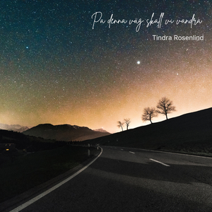 På denna väg skall vi vandra