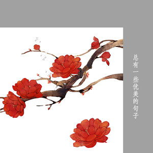 雨巷
