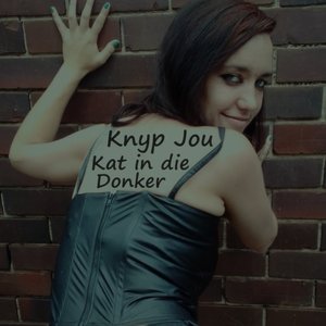 Knyp Jou Kat in die Donker