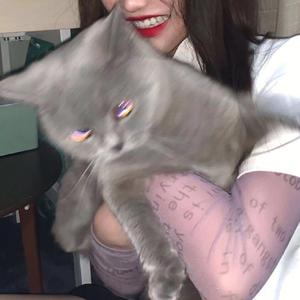 渣女生存图鉴(Prod by Ljx ghost)