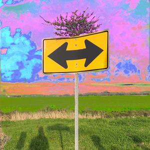 On my Honor, I'll do my best (keeping physically strong, mentally awake, morally/ethically straight)