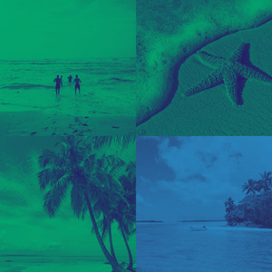 一尘不染烹饪印象数