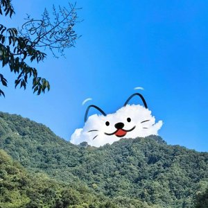 优雅
