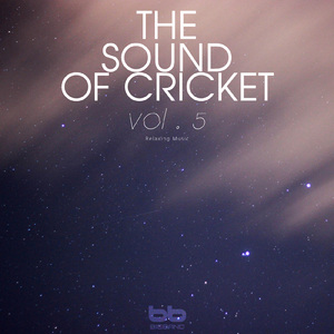 Cricket Sound at Rainbow Stairs