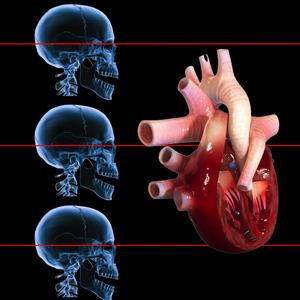 I'm Your Back Door Man