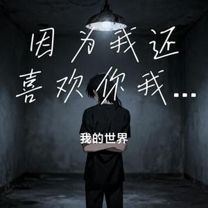 因为我还喜欢你我还爱你