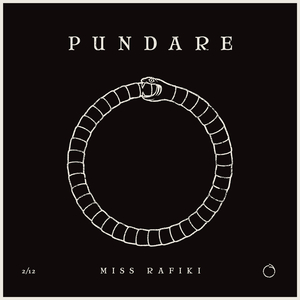 Pundare