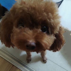 [Free]“Witch“Chill Type beat