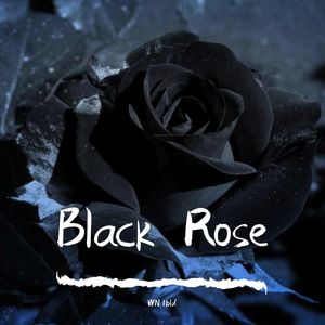 黑色玫瑰（prod by.ZS Beatz）