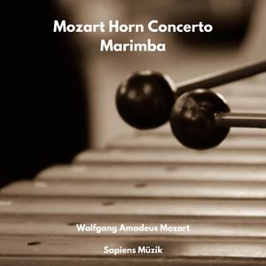 12 Duets Menuetto Marimba