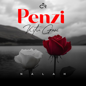 PENZI NINI