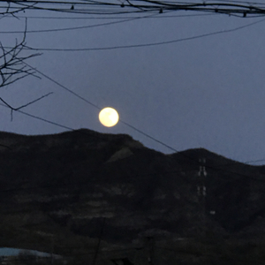 午夜昏暗路灯下