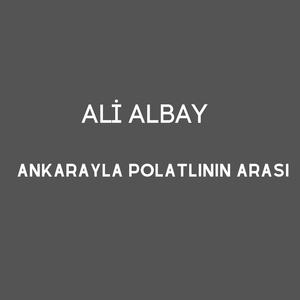 Ankarayla Polatlının Arası (Radio Edit)