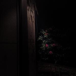 她的工具 prod.Slim Dyane