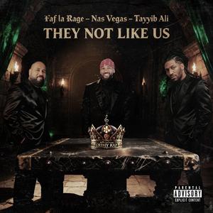 They not like us (Pas comme nous) (feat. Faf larage & Tayyib Ali)