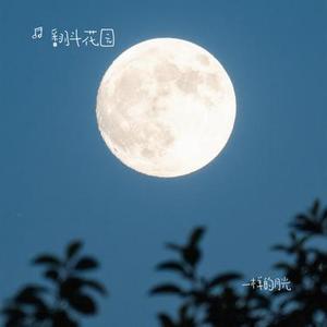 一样的月光 (Cover 徐佳莹)