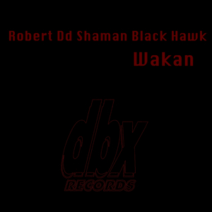 Wakan (Path of Vision)