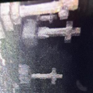 Pleads (feat. xstasyslim, Viss & juuvarc)