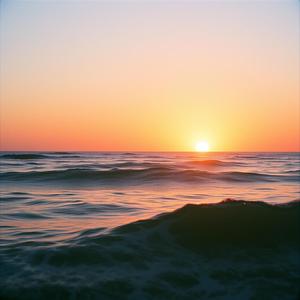 다시 떠오르는 해