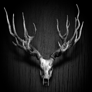 Mannerheim (Original Mix)