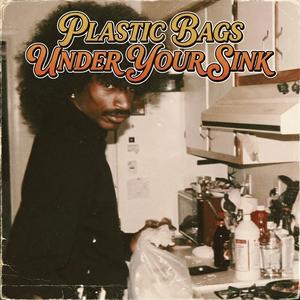 Plastic Bags Under Your Sink