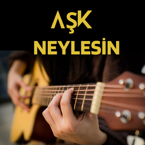 Aşk Neylesin