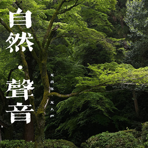 雨後復奏