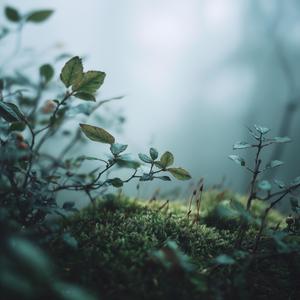 Hope Begins to Breathe